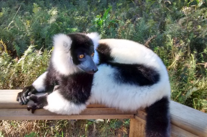 Madagascar 2018